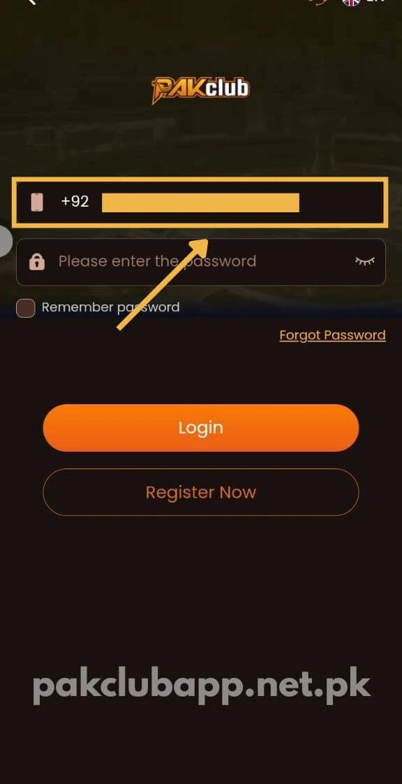 Enter phone for login